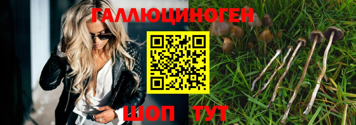Псилоцибиновые грибы MAGIC MUSHROOMS  Вход с VPN  Ижевск 